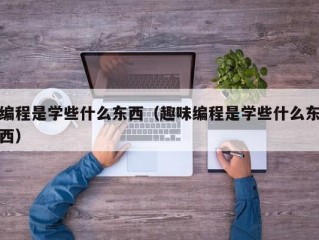 编程是学些什么东西（趣味编程是学些什么东西）