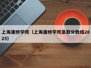 上海建桥学院（上海建桥学院录取分数线2025）