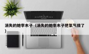 消失的她李木子（消失的她李木子把氧气拔了）