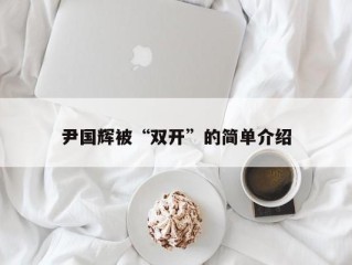 尹国辉被“双开”的简单介绍