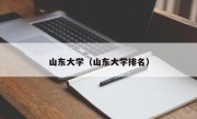 山东大学（山东大学排名）