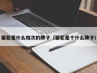 骆驼是什么档次的牌子（骆驼是个什么牌子）