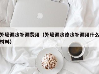 外墙漏水补漏费用（外墙漏水渗水补漏用什么材料）