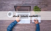 stock（stock market）