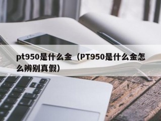 pt950是什么金（PT950是什么金怎么辨别真假）