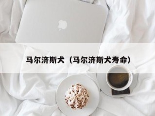 马尔济斯犬（马尔济斯犬寿命）