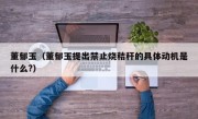 董郁玉（董郁玉提出禁止烧秸秆的具体动机是什么?）