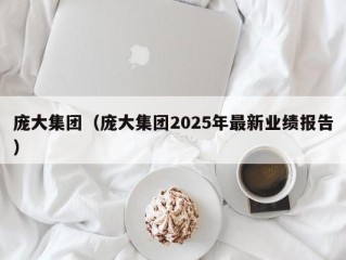 庞大集团（庞大集团2025年最新业绩报告）
