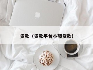 贷款（贷款平台小额贷款）