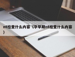 nt检查什么内容（孕早期nt检查什么内容）
