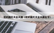 花的图片大全大图（花的图片大全大图名字）