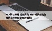 TCT鳞状细胞低度病变（tct鳞状细胞低度病变dna含量异常细胞）