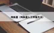 鸡枞菌（鸡枞菌人工种植方法）