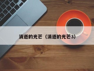 消逝的光芒（消逝的光芒3）