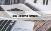 胡军（胡军主演的电视剧）