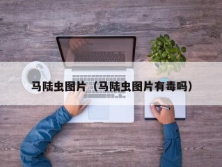 马陆虫图片（马陆虫图片有毒吗）