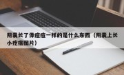 阴囊长了像痘痘一样的是什么东西（阴囊上长小疙瘩图片）