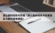 蒲公英的功效与作用（蒲公英的功效与作用禁忌与副作用有哪些）