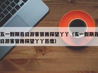 五一假期首日游客冒雨探望丫丫（五一假期首日游客冒雨探望丫丫百度）