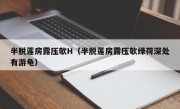 半脱莲房露压欹H（半脱莲房露压欹绿荷深处有游龟）