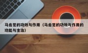 马齿苋的功效与作用（马齿苋的功效与作用的功能与主治）