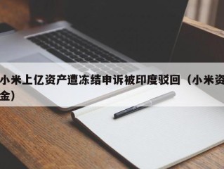 小米上亿资产遭冻结申诉被印度驳回（小米资金）