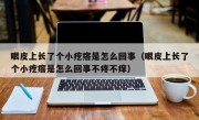 眼皮上长了个小疙瘩是怎么回事（眼皮上长了个小疙瘩是怎么回事不疼不痒）