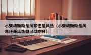 小柴胡颗粒是风寒还是风热（小柴胡颗粒是风寒还是风热都可以吃吗）