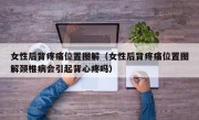 女性后背疼痛位置图解（女性后背疼痛位置图解颈椎病会引起背心疼吗）