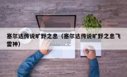 塞尔达传说旷野之息（塞尔达传说旷野之息飞雷神）