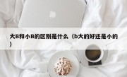 大B和小B的区别是什么（b大的好还是小的）