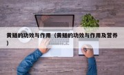 黄鳝的功效与作用（黄鳝的功效与作用及营养）