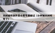 大树被吹倒外卖小哥弯腰躲过（小树被大树吹弯了）