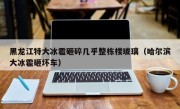 黑龙江特大冰雹砸碎几乎整栋楼玻璃（哈尔滨大冰雹砸坏车）