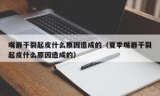嘴唇干裂起皮什么原因造成的（夏季嘴唇干裂起皮什么原因造成的）