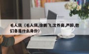 毛人凤（毛人凤,徐鹏飞,沈养斋,严醉,他们各是什么身份）