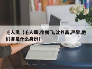 毛人凤（毛人凤,徐鹏飞,沈养斋,严醉,他们各是什么身份）