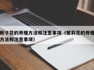 栀子花的养殖方法和注意事项（茉莉花的养殖方法和注意事项）