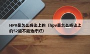 HPV是怎么感染上的（hpv是怎么感染上的52能不能治疗好）