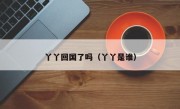 丫丫回国了吗（丫丫是谁）