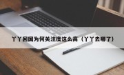 丫丫回国为何关注度这么高（丫丫去哪了）