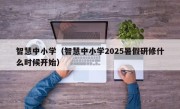 智慧中小学（智慧中小学2025暑假研修什么时候开始）