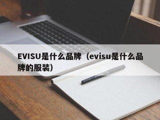 EVISU是什么品牌（evisu是什么品牌的服装）
