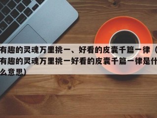有趣的灵魂万里挑一、好看的皮囊千篇一律（有趣的灵魂万里挑一好看的皮囊千篇一律是什么意思）