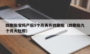 四胞胎宝妈产后9个月再怀四胞胎（四胞胎九个月大肚照）
