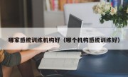 哪家感统训练机构好（哪个机构感统训练好）