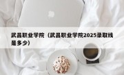 武昌职业学院（武昌职业学院2025录取线是多少）