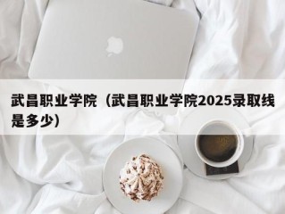 武昌职业学院（武昌职业学院2025录取线是多少）