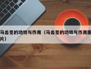 马齿苋的功效与作用（马齿苋的功效与作用图片）
