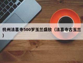 杭州法喜寺500岁玉兰盛放（法喜寺古玉兰）